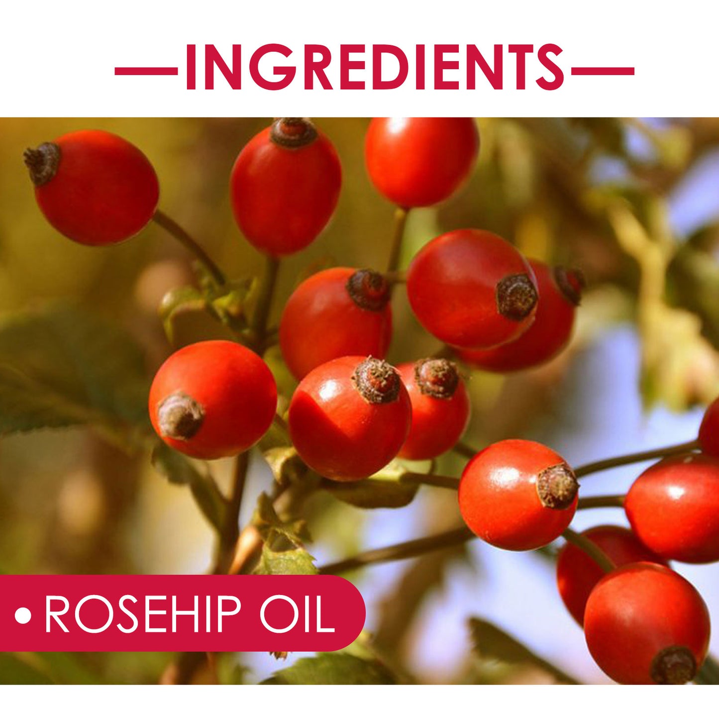 EELHOE Rosehip Facial Oil - Hydrating Multi-Use Oil for Face, Body & Hair